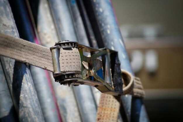 How to Choose the Right Racing Harness